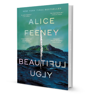Beautiful Ugly: A Chilling Mystery