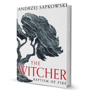 The Witcher Baptism Of Fire