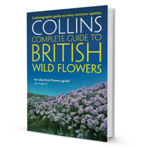 Collins Complete Guide To British Wild Flowers By Paul Sterry
