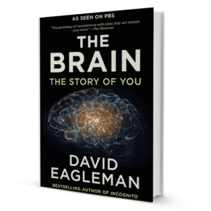 the-brain-by-david-eagleman-booxworm-67309.png The Brain By David Eagleman